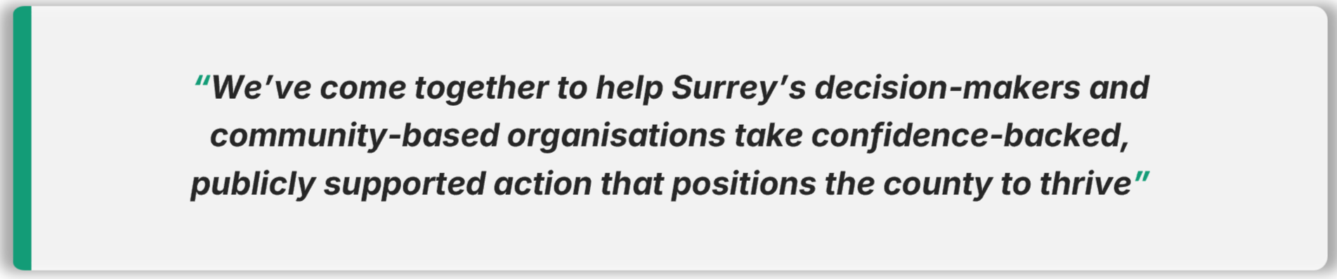 We've come together to help Surrey's decision-makers and community-based organisations take confidence-backed, publicaty supported action that positions the county to thrive